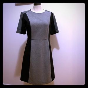 LOFT professional but comfy dress!!